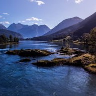 日本海豚湾:揭秘传统捕猎与生态旅游的冲突与未来