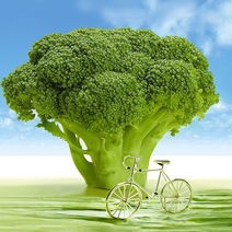 人民日报聚焦预制菜,便捷与健康的平衡艺术