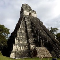 河南贾湖遗址8000年古木棺,揭开史前文明的神秘面纱