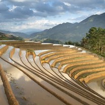 沙坡头区旅游攻略:解锁沙漠与黄河奇观的最佳游玩路线与季节选择