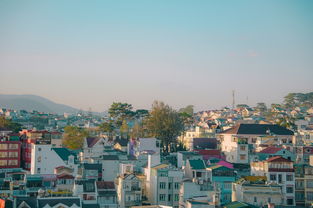 江苏沛县旅游攻略:探索汉文化发源地,轻松规划完美行程 江苏沛县旅游攻略:探索汉文化发源地,轻松规划完美行程