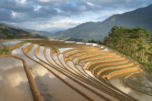 沙坡头区旅游攻略:解锁沙漠与黄河奇观的最佳游玩路线与季节选择 沙坡头区旅游攻略:解锁沙漠与黄河奇观的最佳游玩路线与季节选择